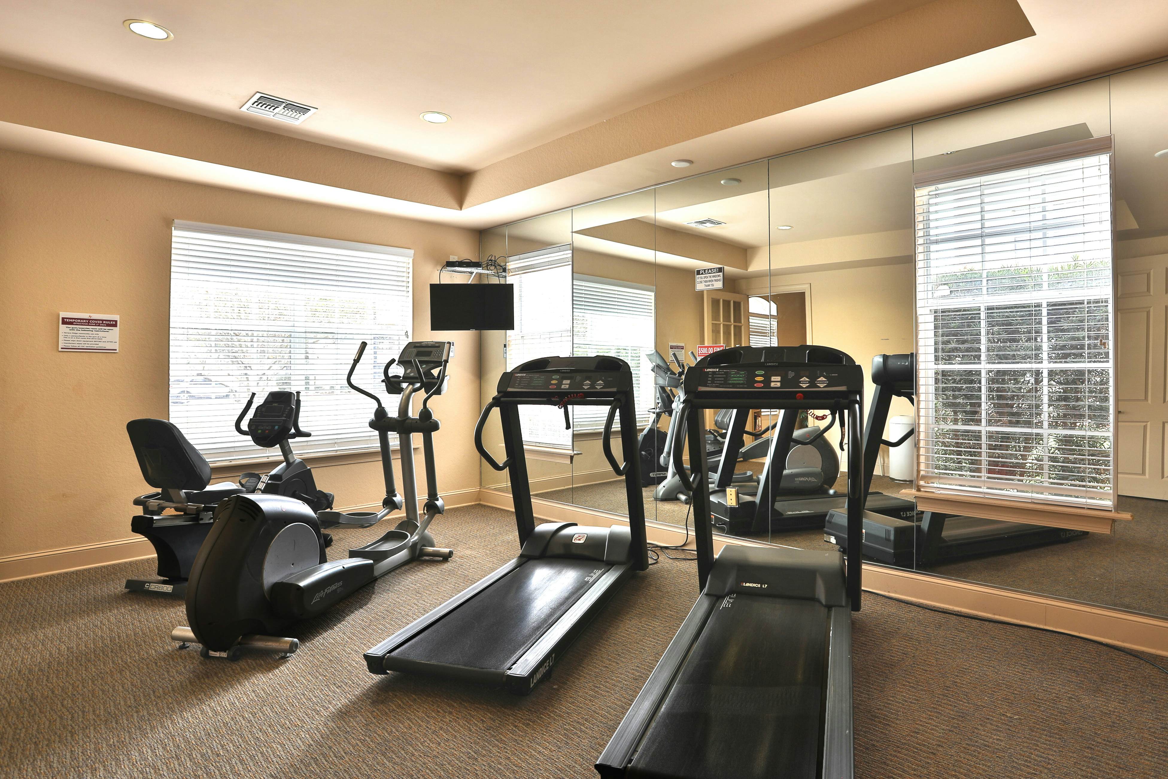 TRR105-618-3 - Pink Apple