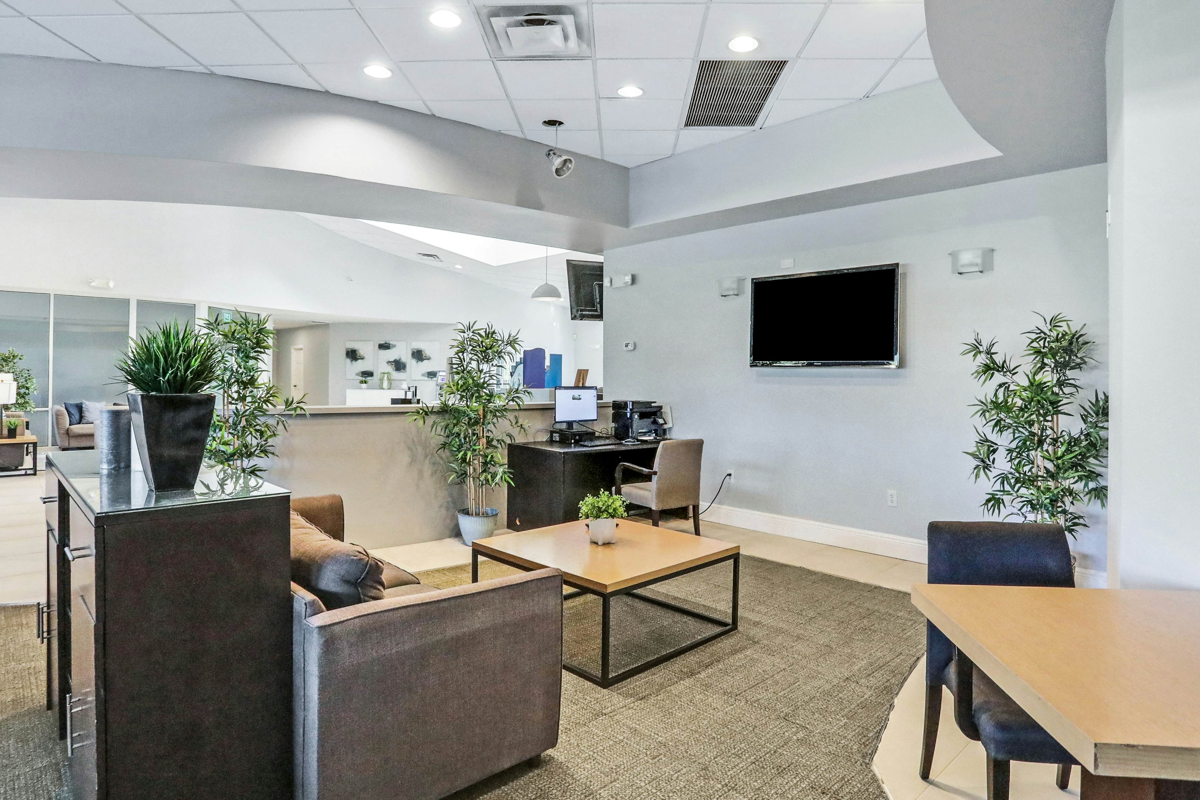 RGP103-349-4 - The Orange Oasis