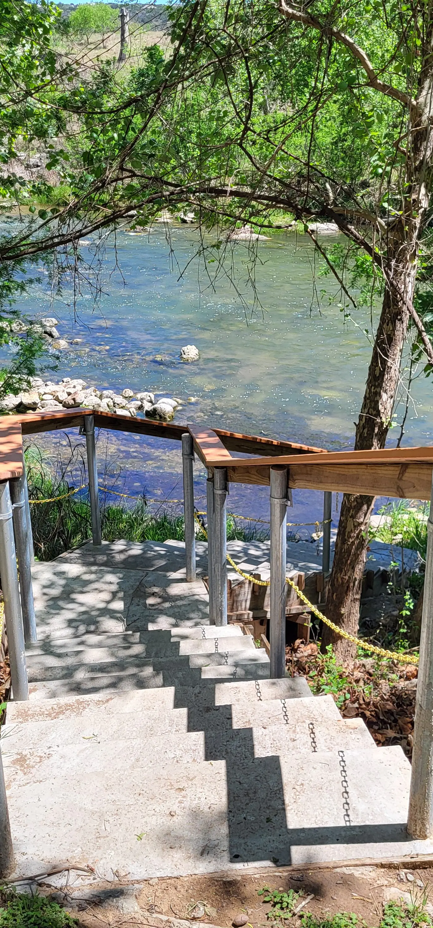 The Trout River House