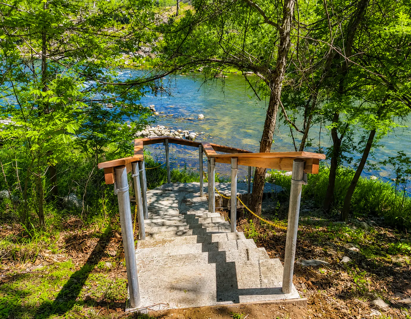 The Trout River House