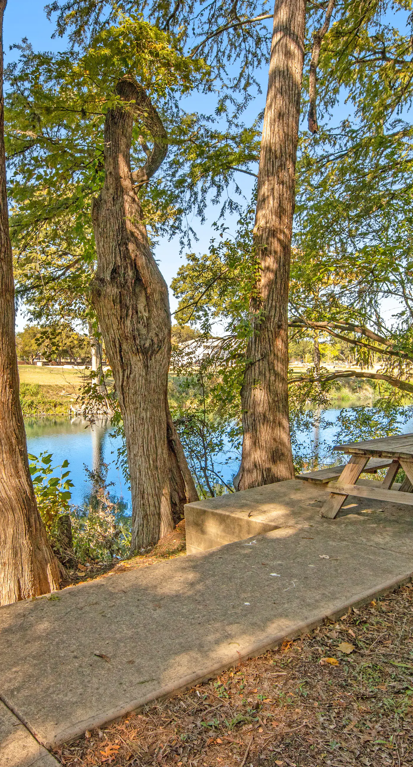 The Village at Gruene - Unit 203