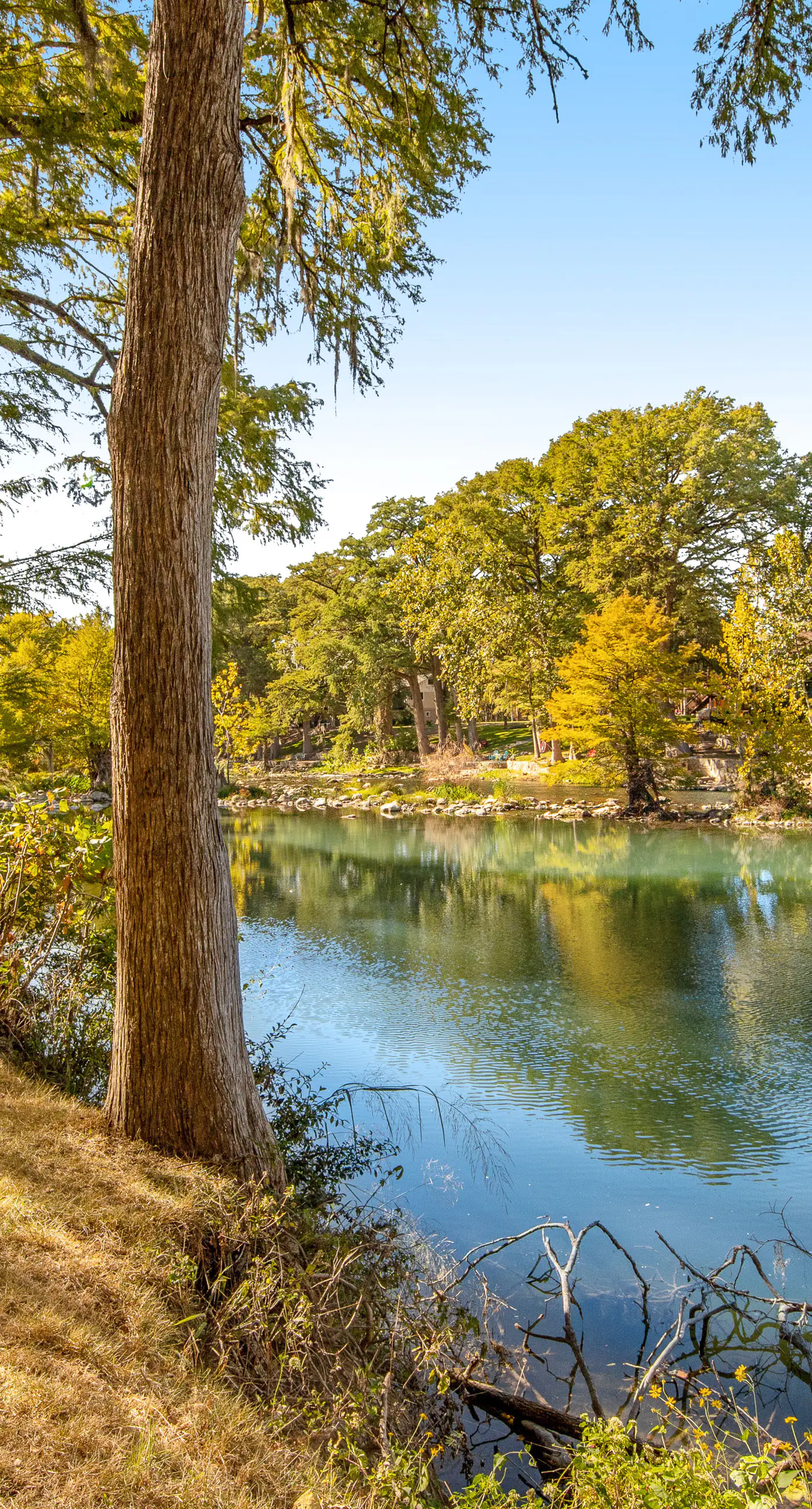 The Village at Gruene - Unit 203