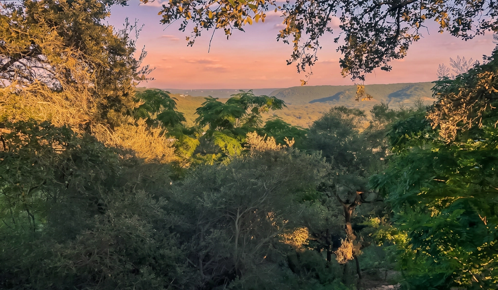 Canyon Green