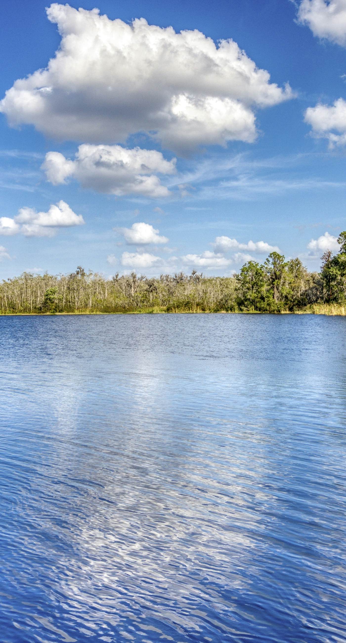 2nd floor condo w/ gym, near theme parks, shared pools, balcony, tennis court