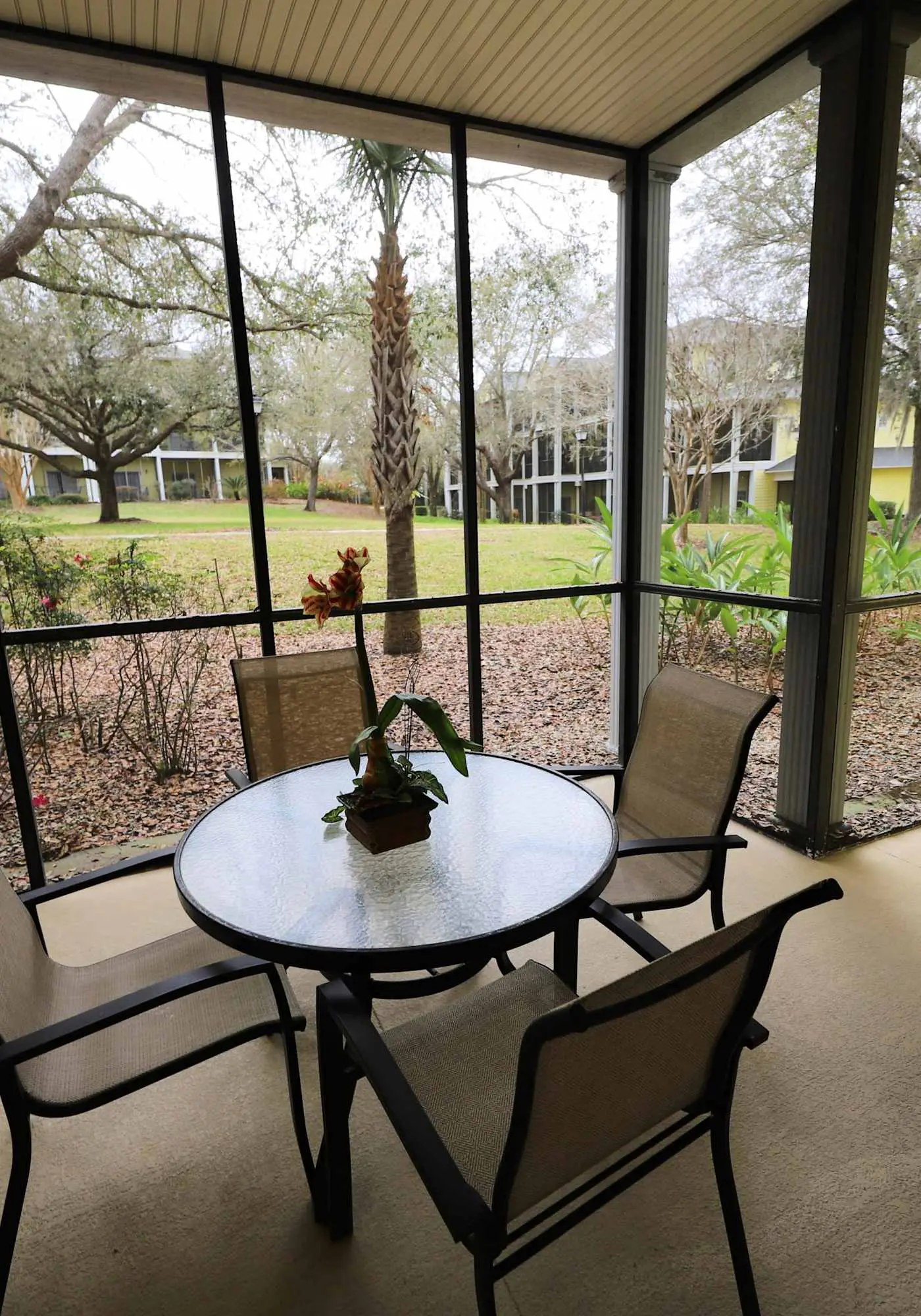 1st floor condo near theme parks, sauna, tennis court, basketball court, patio