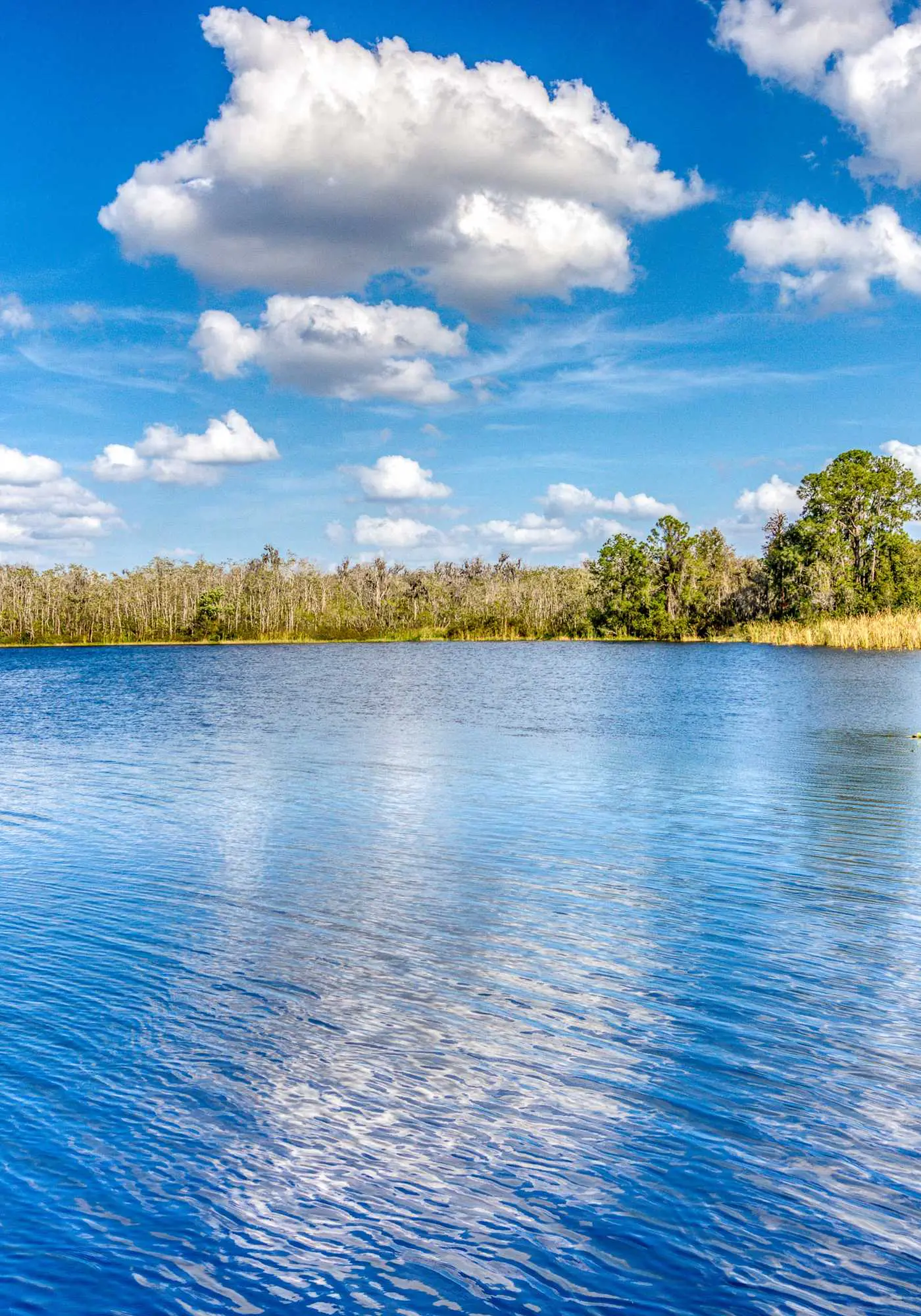 First floor lake view condo w/ pool & hot tub access, private W/D, & central AC