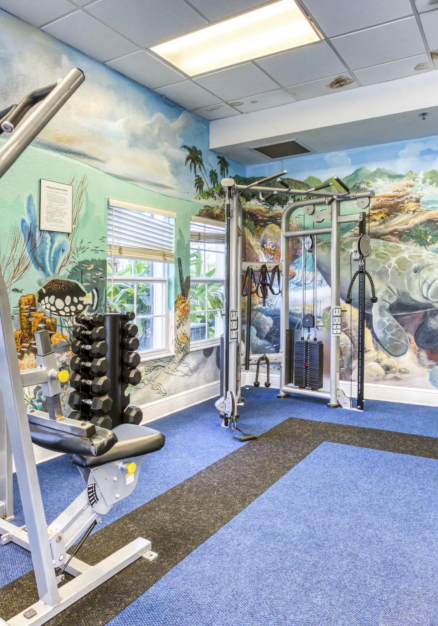 1st floor condo near theme parks, patio, tennis court, sauna