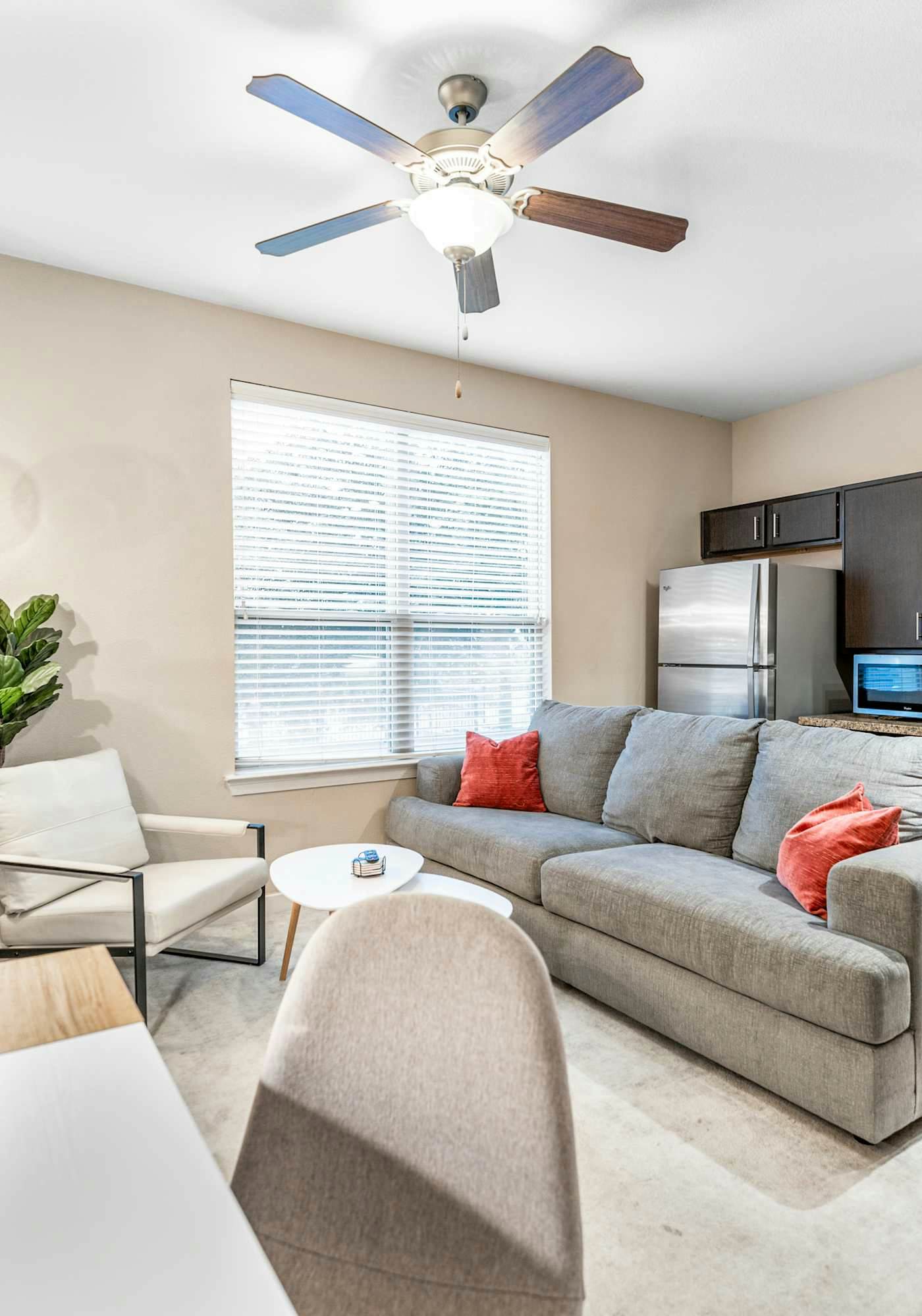 Cute SoCo 1BR King Suite w/ GymPickleballLaundry
