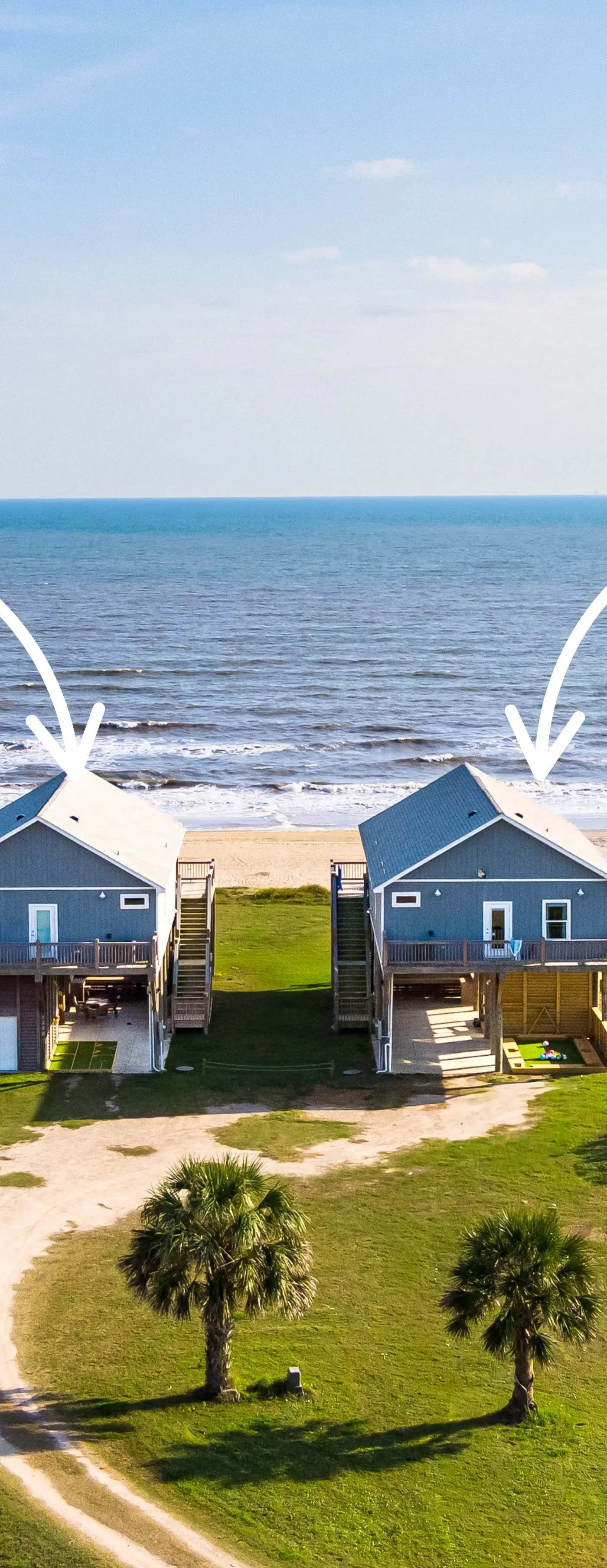 Crazy Coconut and Mellow Mango