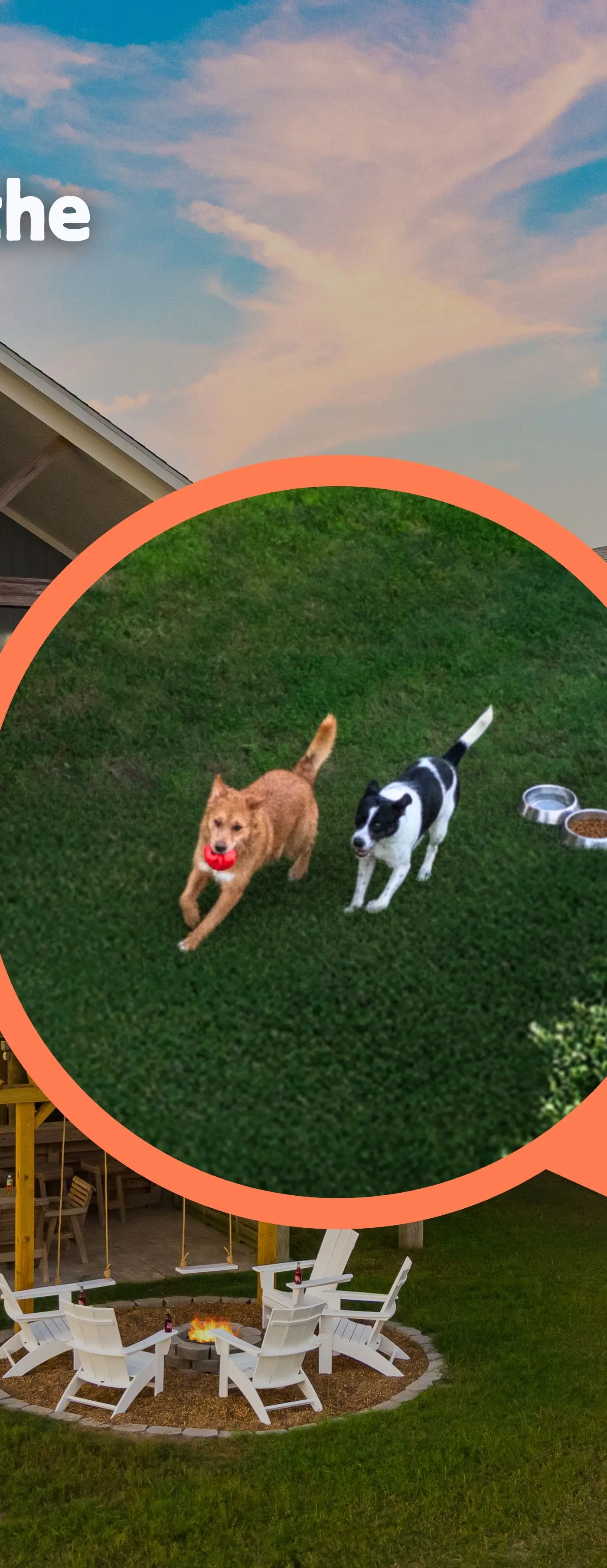 Crazy Coconut and Mellow Mango