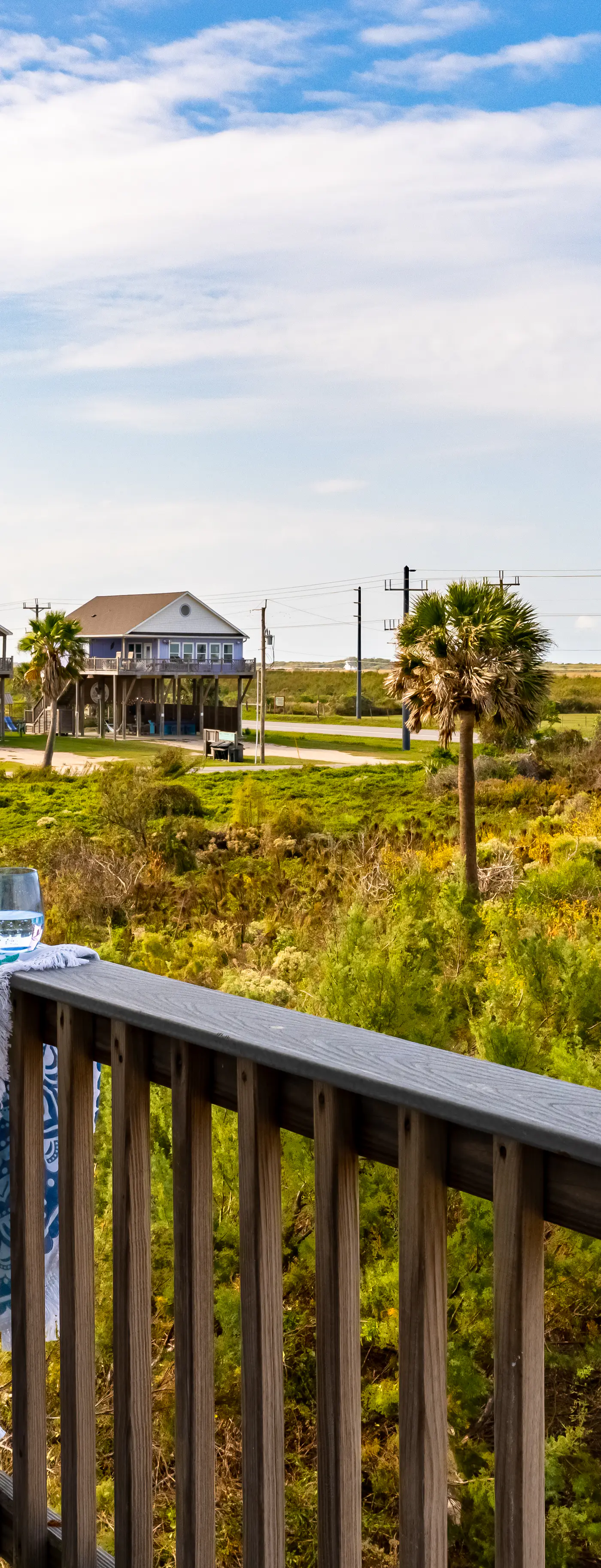 Crazy Coconut and Mellow Mango