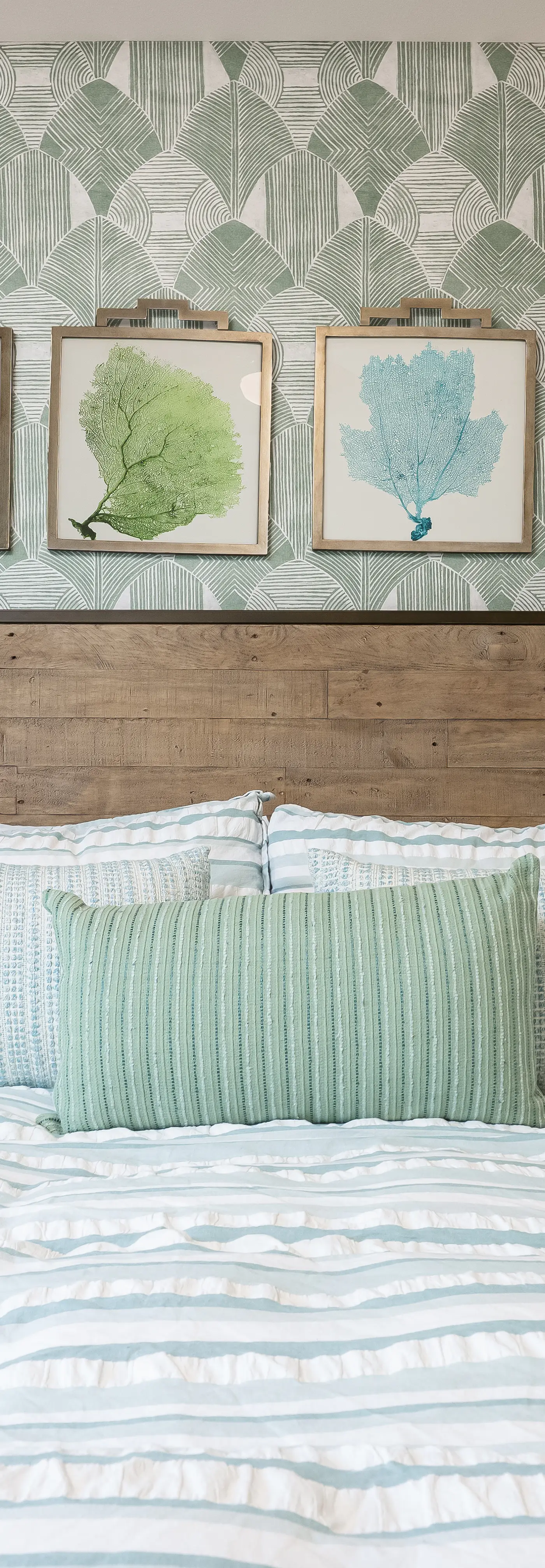 Crazy Coconut and Mellow Mango