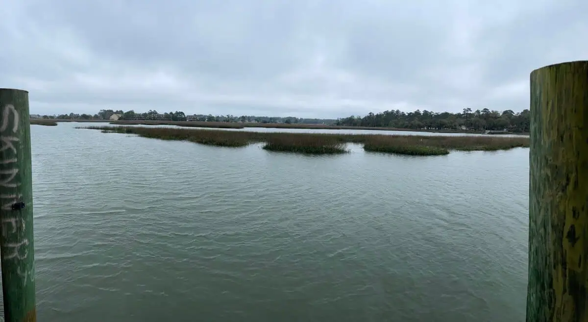 1 Skinner Pl, Savannah