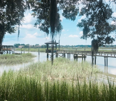 4 Skinner Pl, Savannah