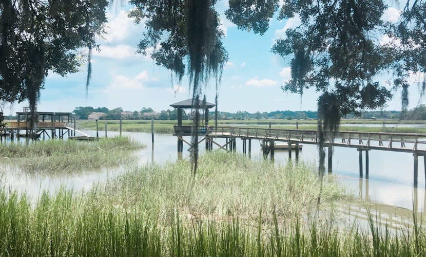 Dock&Volleyball! Near Downtown - Flamingo Flat
