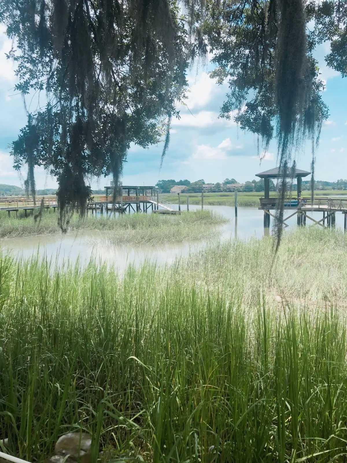 5 Skinner Pl, Savannah