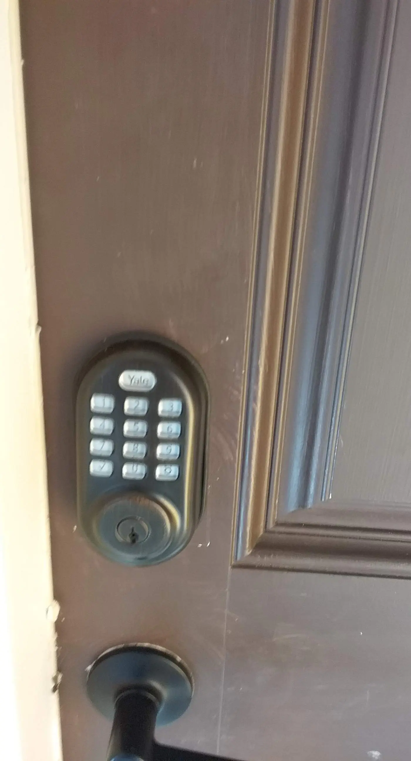 5 Skinner Pl, Savannah