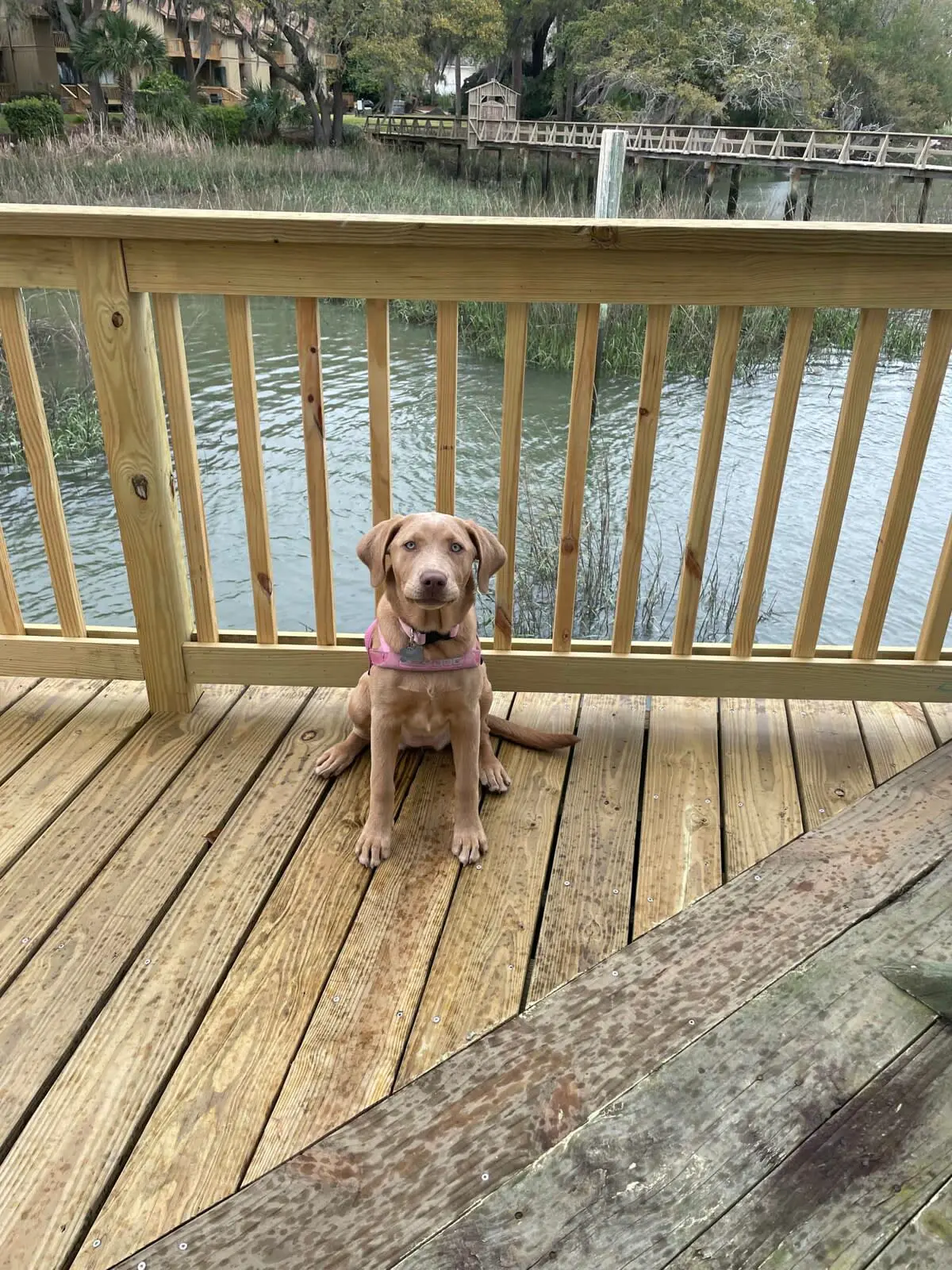 6 Skinner Pl, Savannah