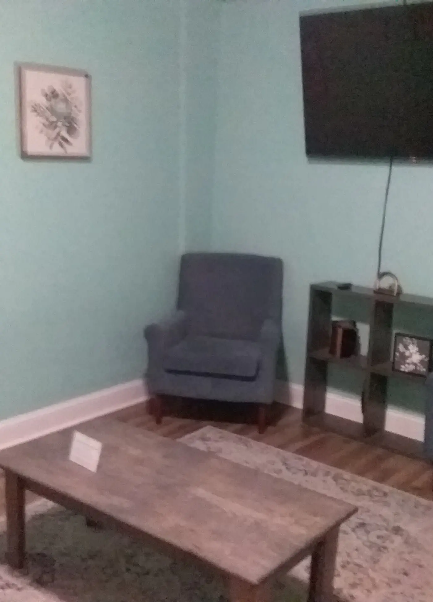 Unit B, 561 Mendel Ave, Savannah