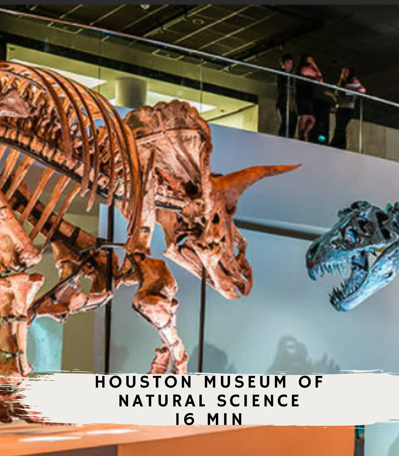 Gorgeous and Cozy Houston home w/ a private Pool