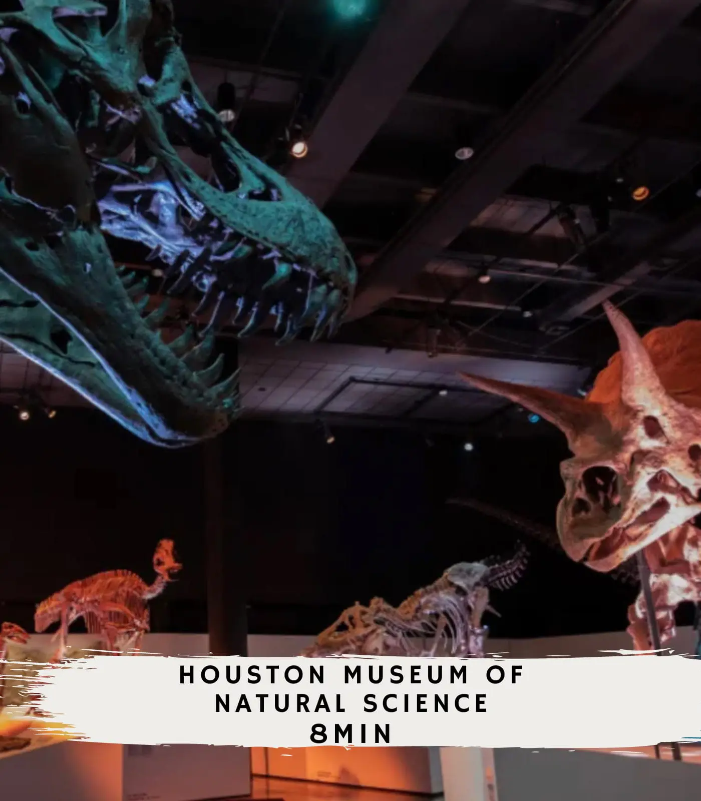 Best of Midtown-3 Bedrooms, Minutes to Attractions