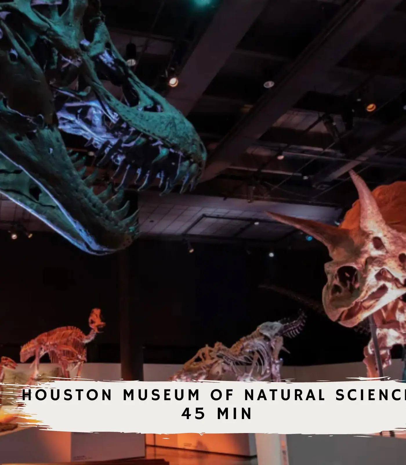 Spring Branch Getaway Feat 5BD, Pool, Hot tub