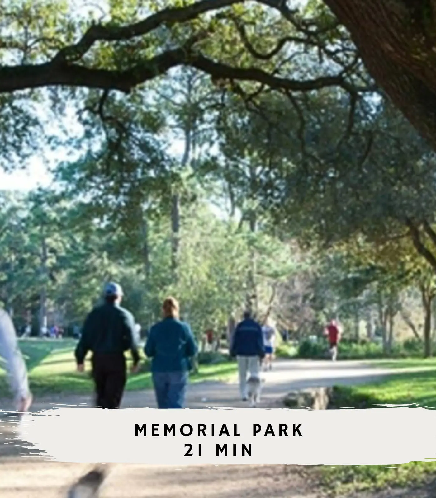 Spring Branch Getaway Feat 5BD, Pool, Hot tub