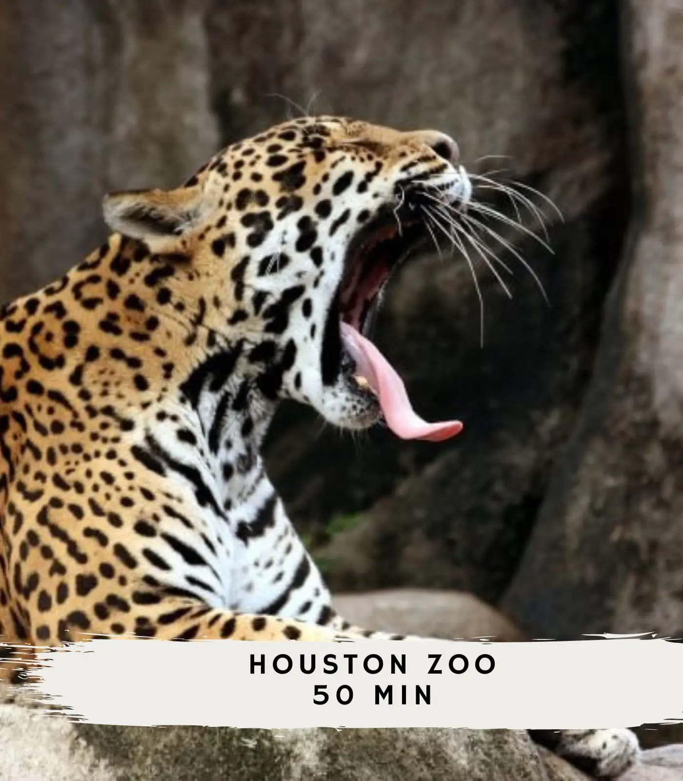 Stunning Modern Dream Home, 5-BD, Sleeps 14