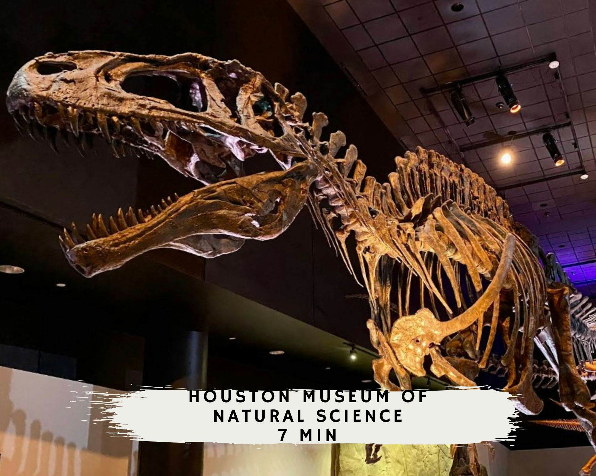 Chic & Central 3BD Townhouse, Mins to DT & Midtown