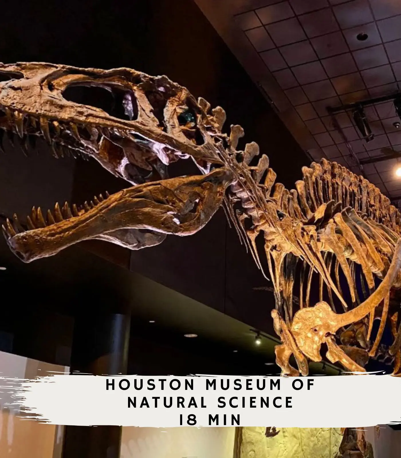 Houston Central Location - Stylish with Jacuzzi