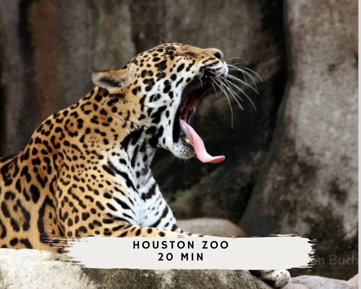 Stunning Modern Dream Home w Pool, Grill, Foosball