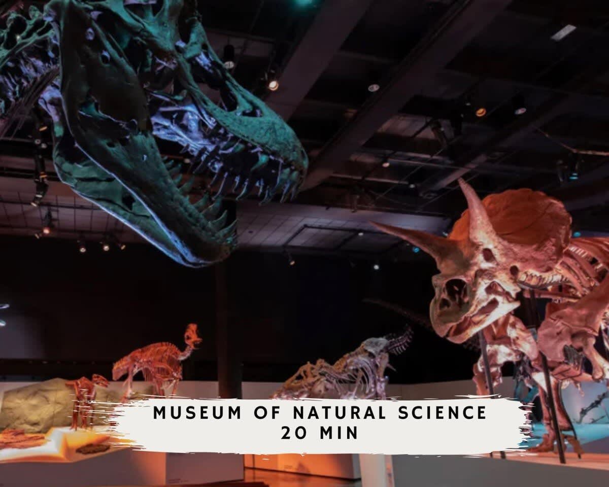 Stunning Modern Dream Home w Pool, Grill, Foosball