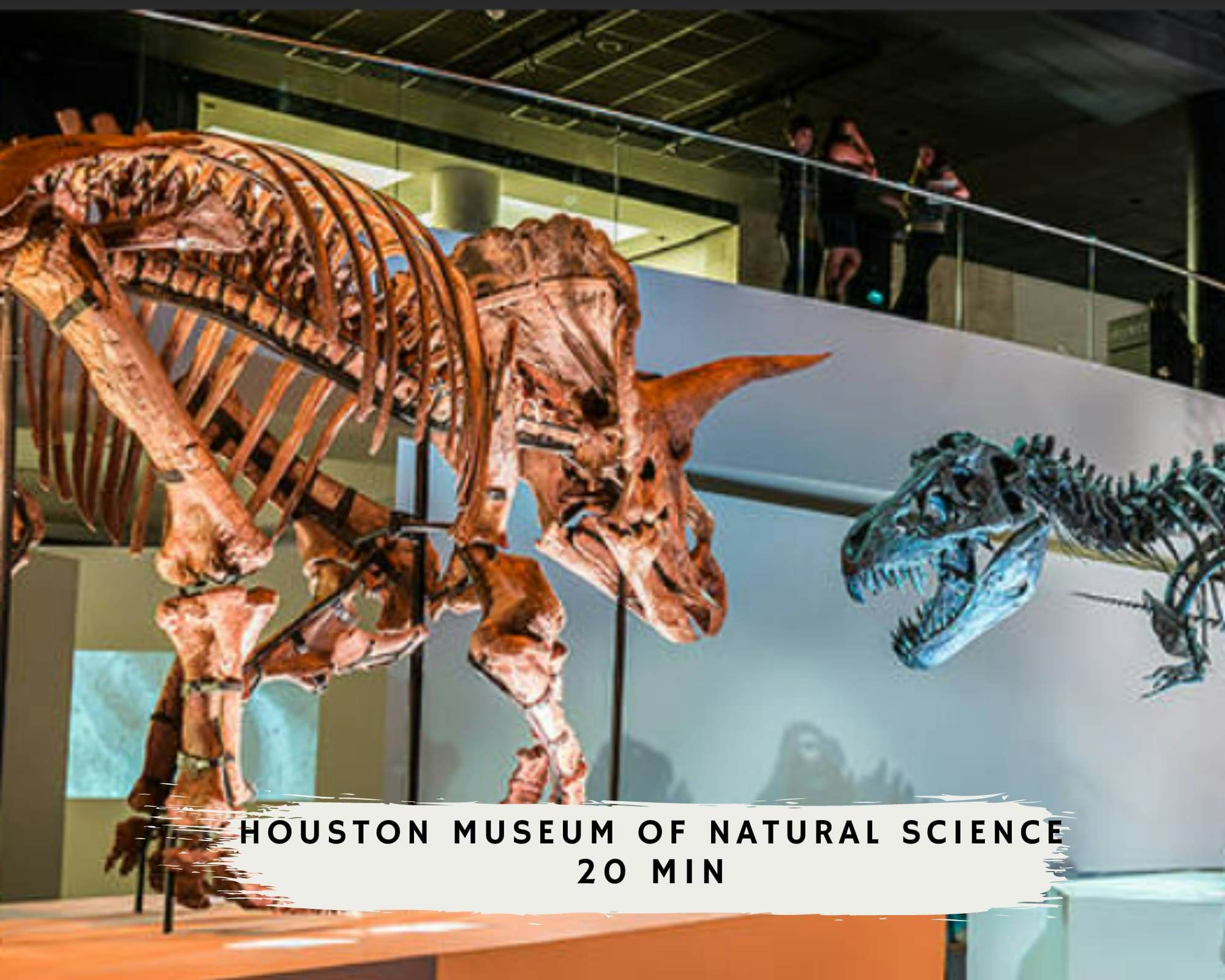 4-BD Central Location w Pool, Patio, Firepit