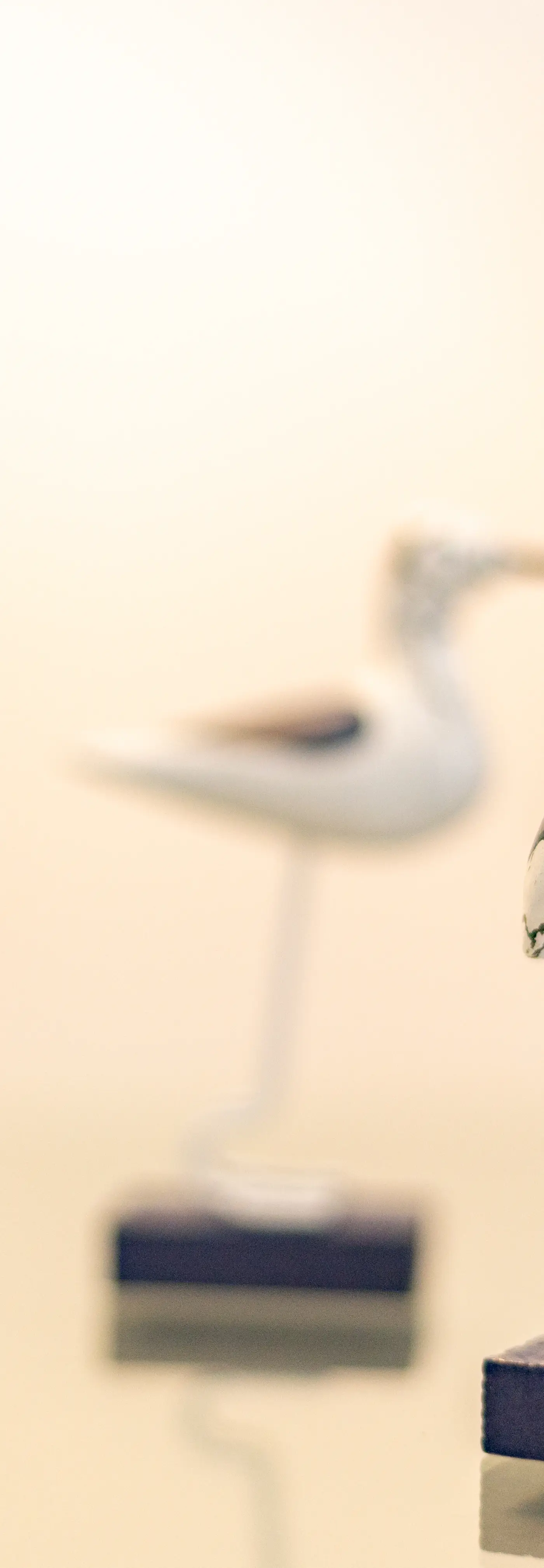 Paraiso Del Mar Resort PDM B103