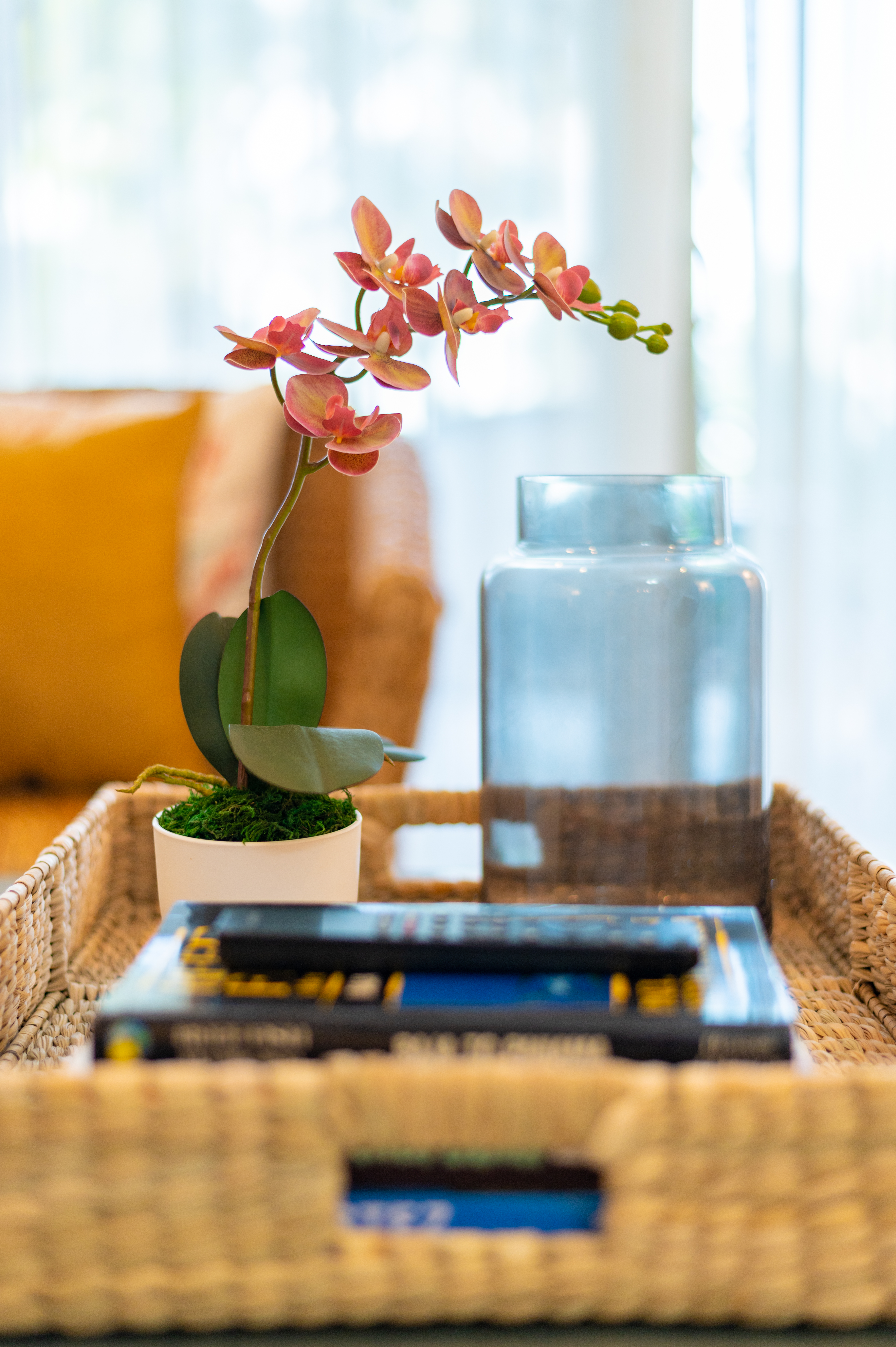 Spectacular view of the Sea of Cortez