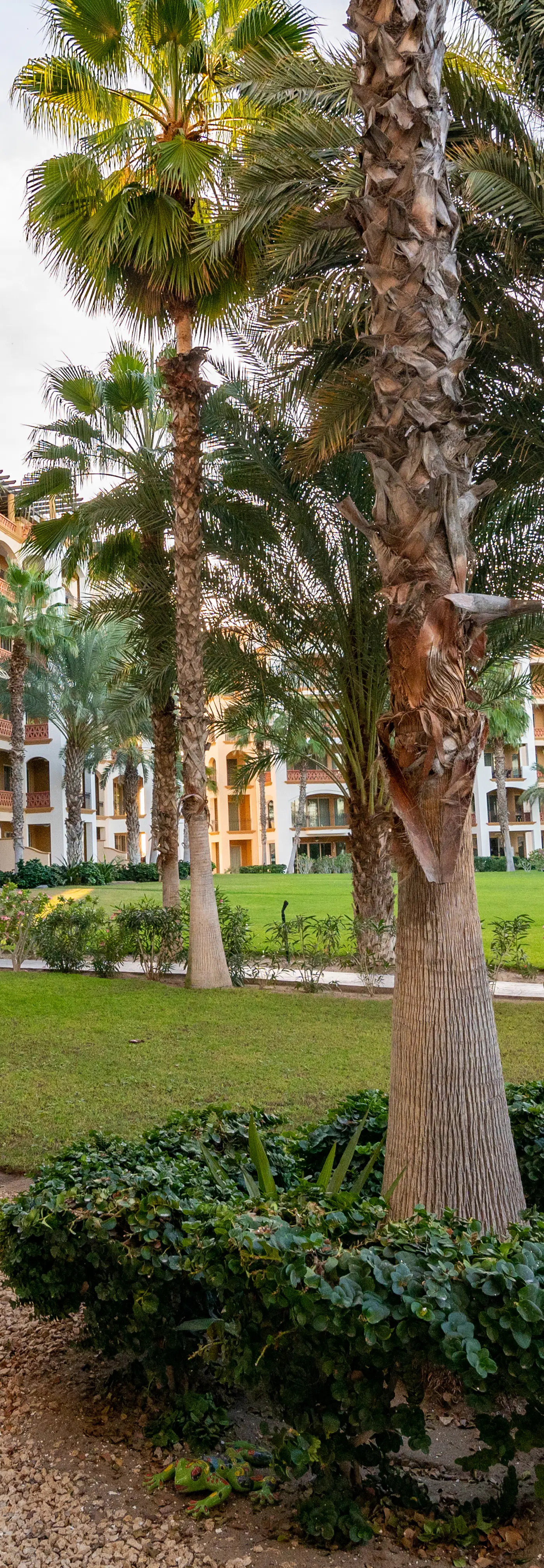 Paraiso Del Mar Resort PDM B103