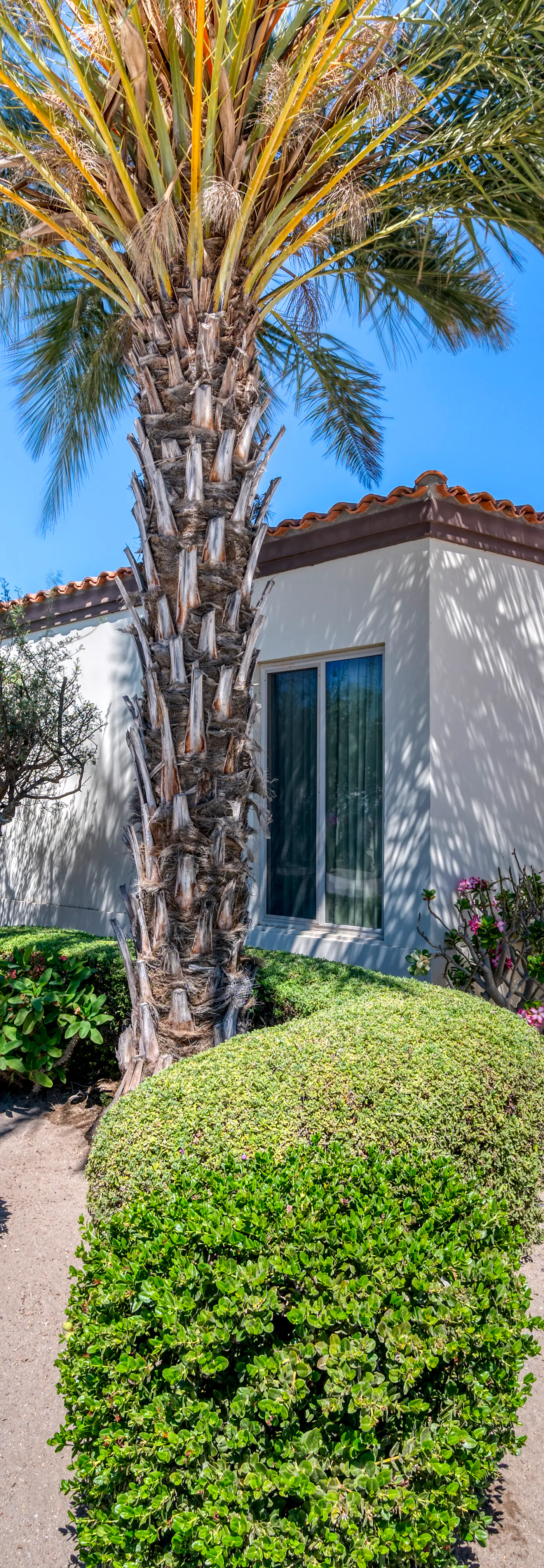 Paraiso Del Mar Resort PDM V111