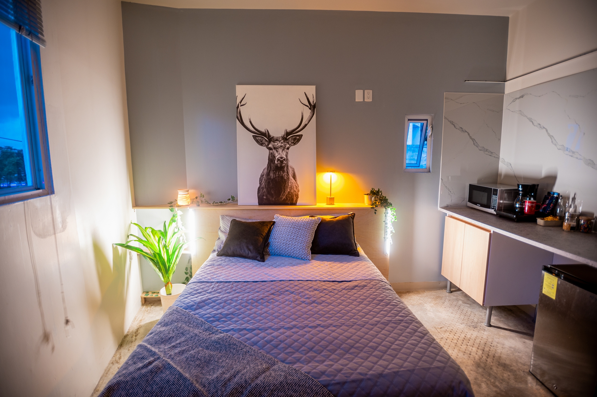 Stylish Studio Great location Near Expo, Plaza del Sol & more