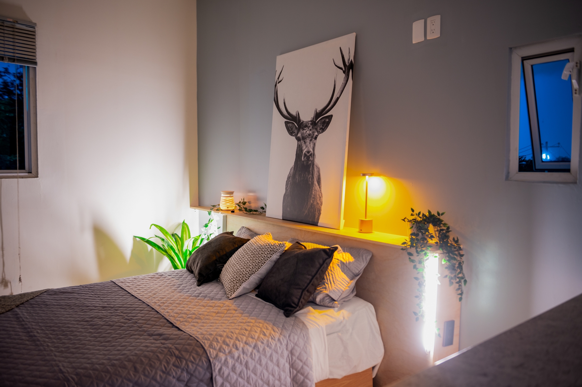 Stylish Studio Great location Near Expo, Plaza del Sol & more