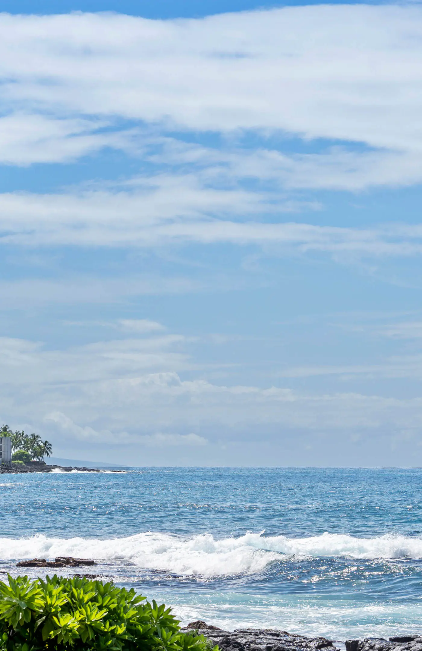 Kona Reef D-8
