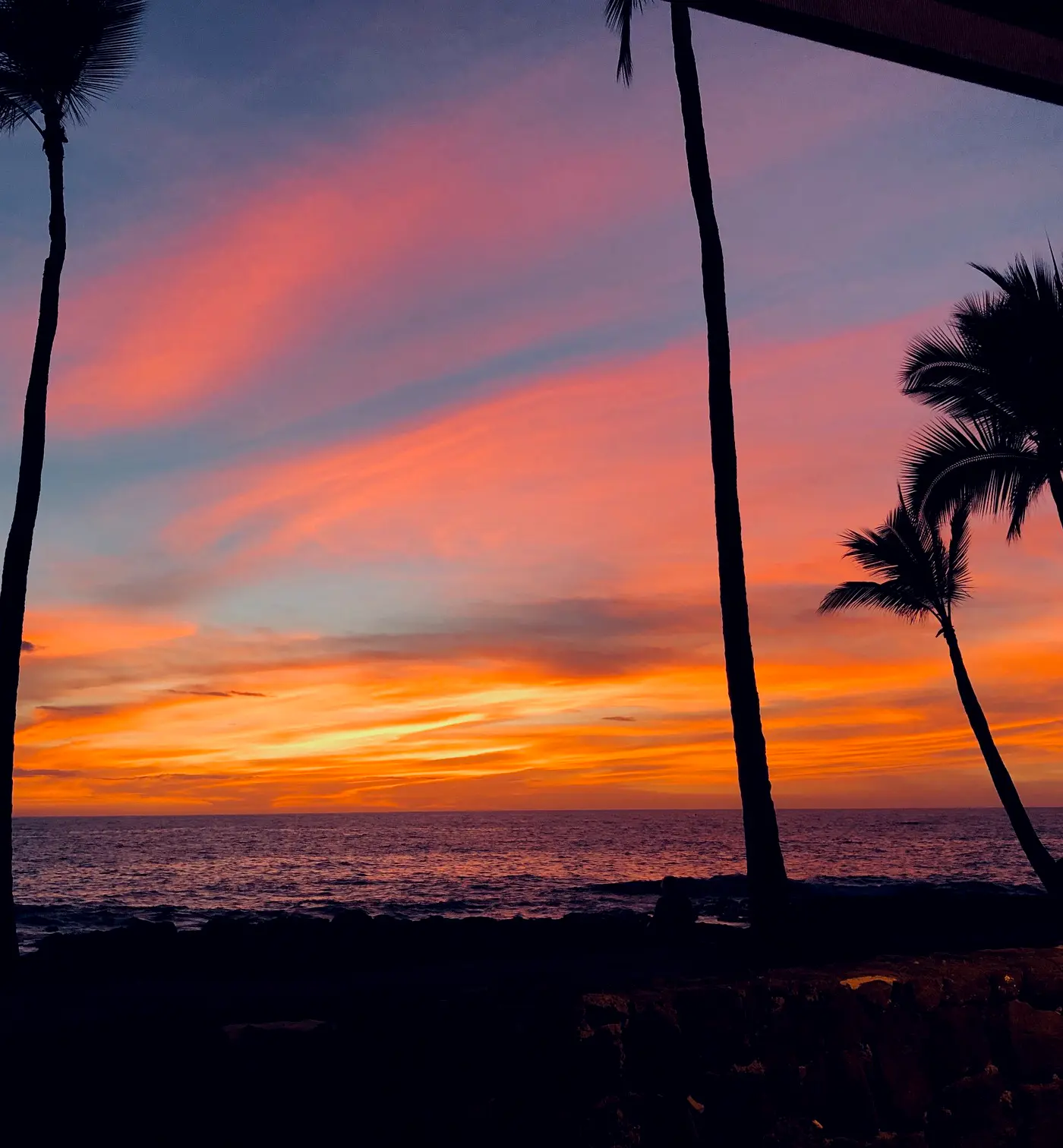 Kona Reef D-8