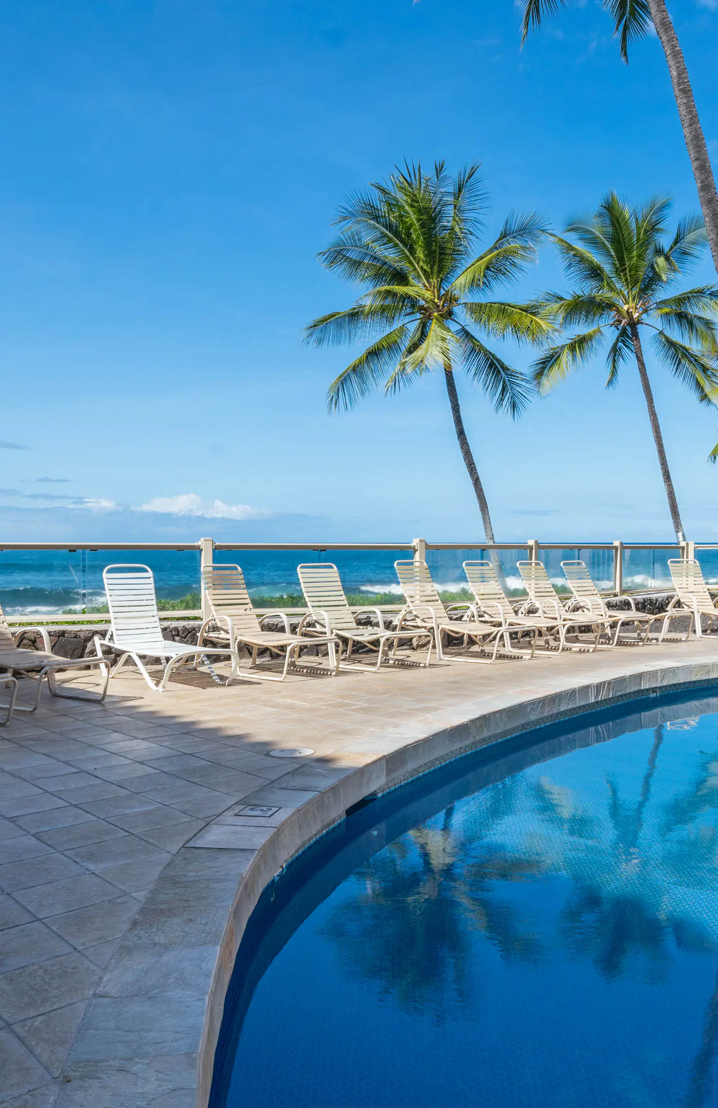 Kona Reef D-8