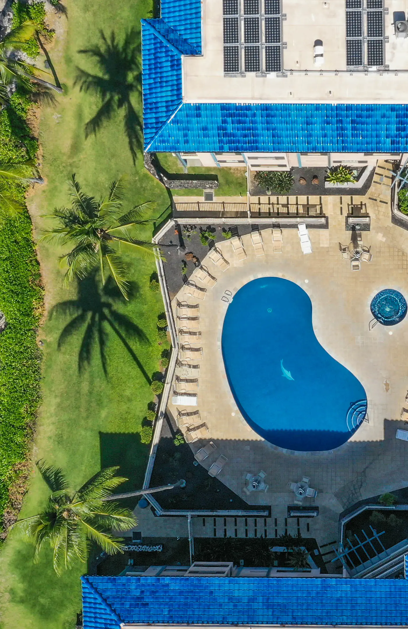 Kona Reef D-8