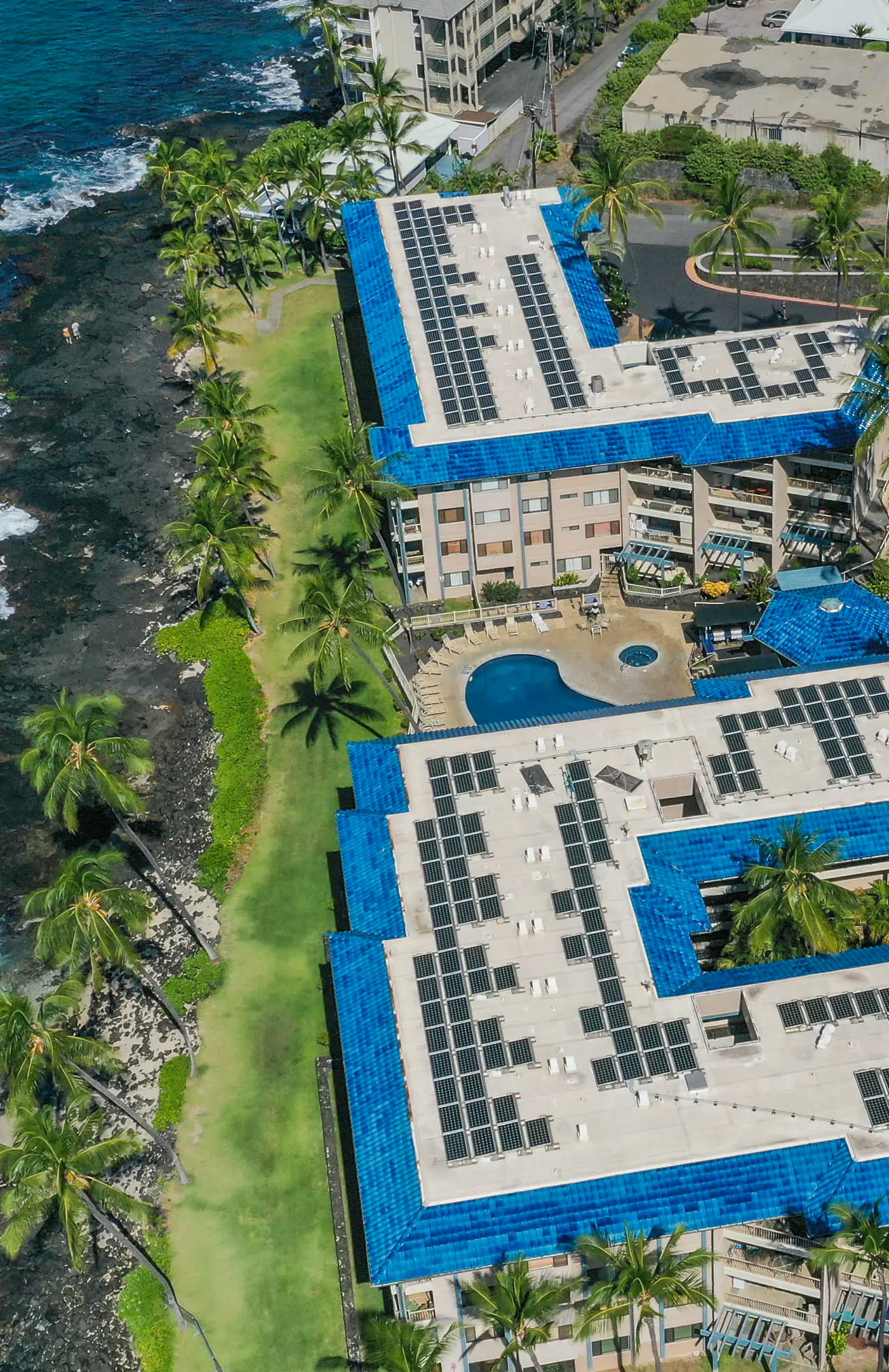 Kona Reef D-8