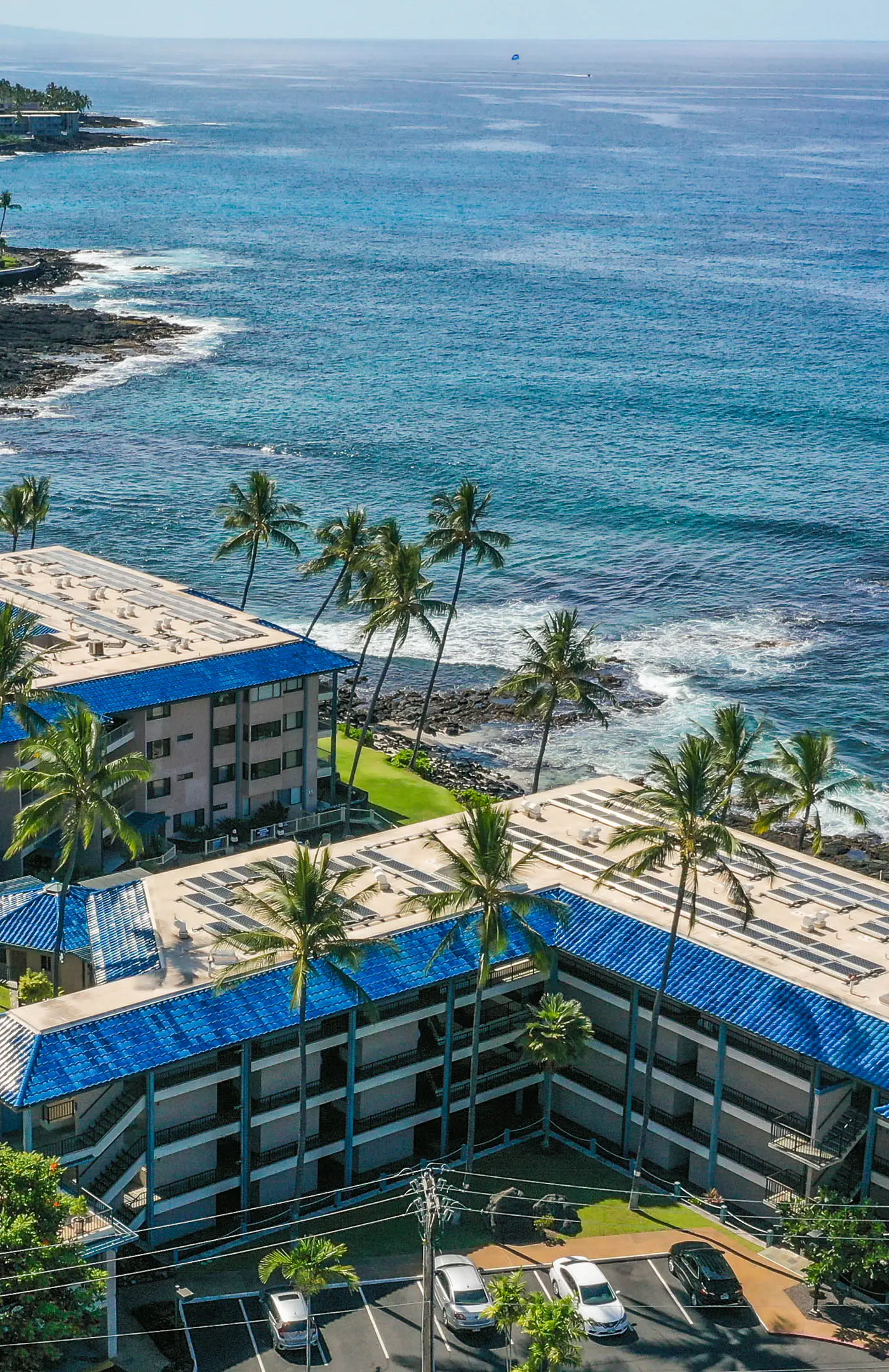 Kona Reef D-8