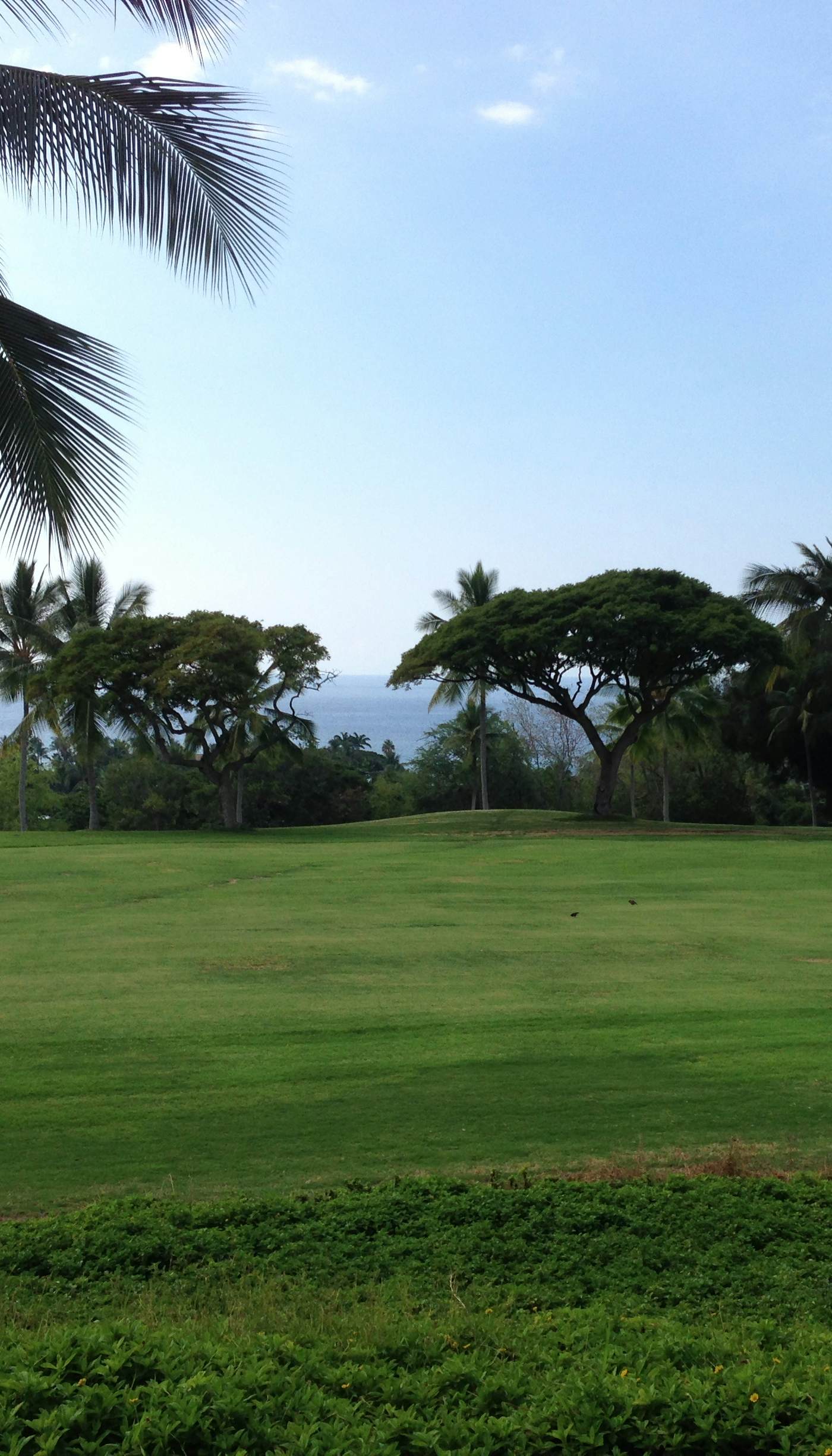 Country Club Villas 320