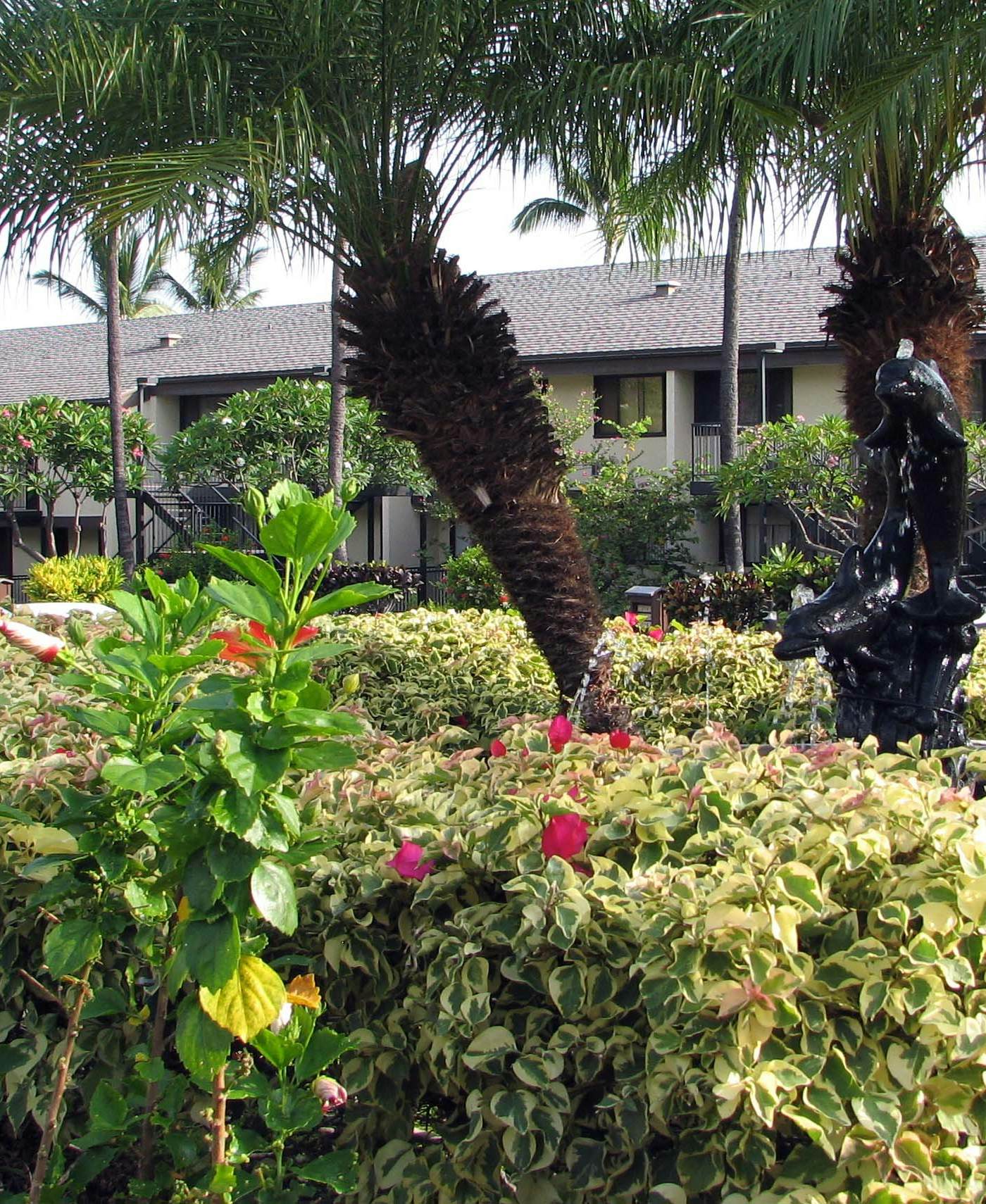 Country Club Villas 320