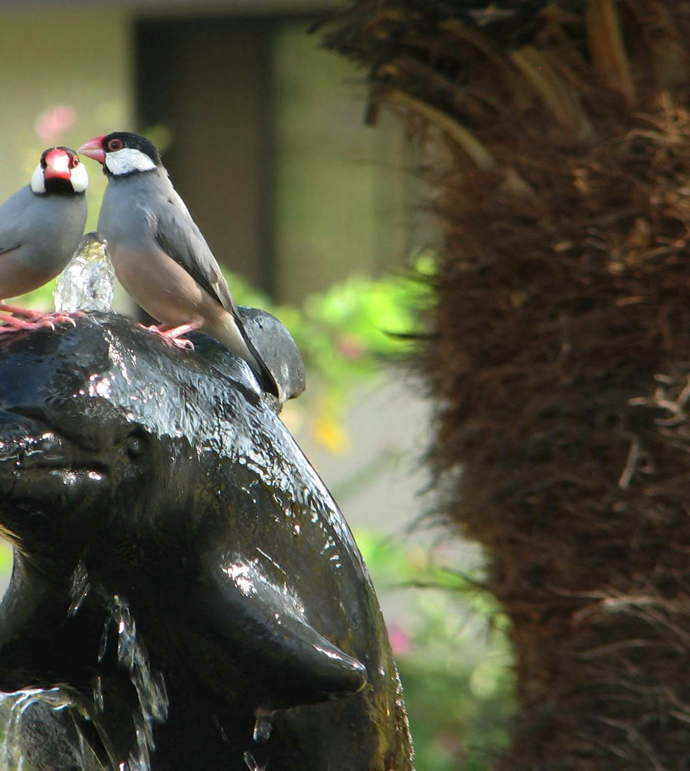 Country Club Villas 320