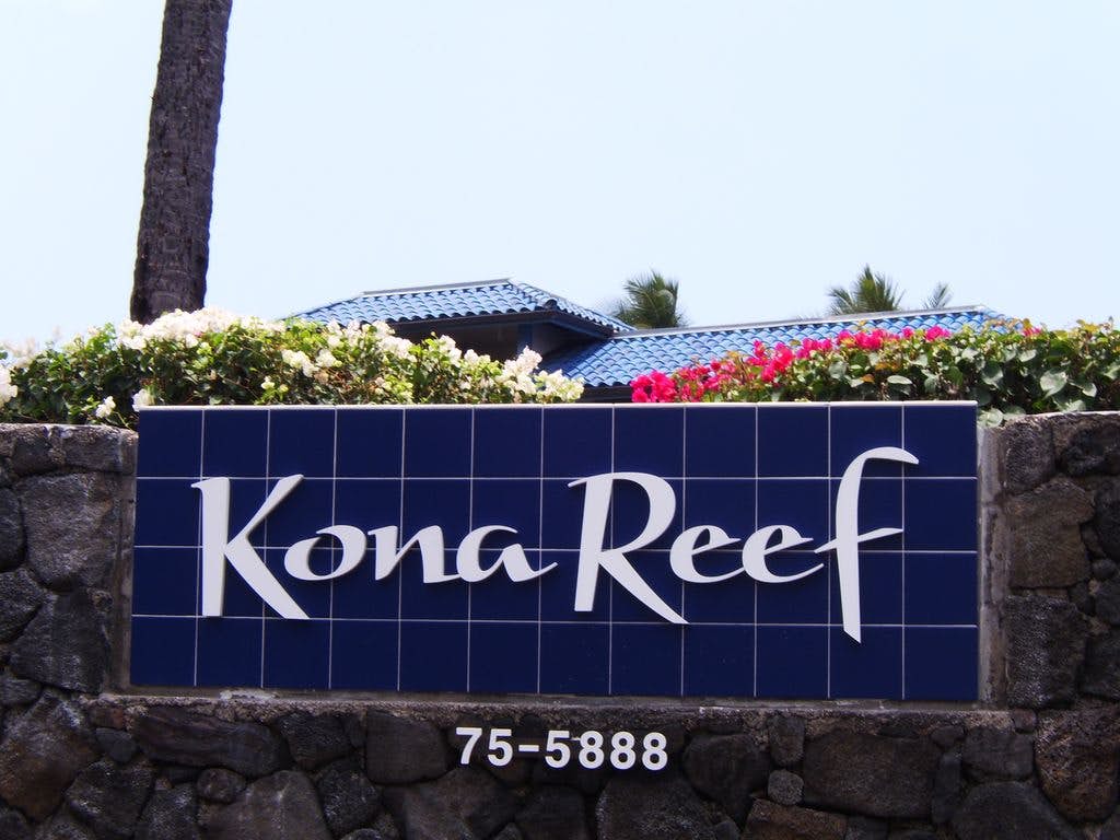 Kona Reef D-14