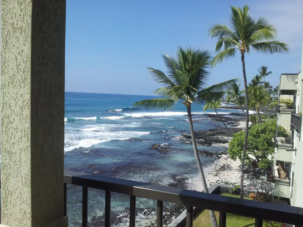 Banyan Tree 403C